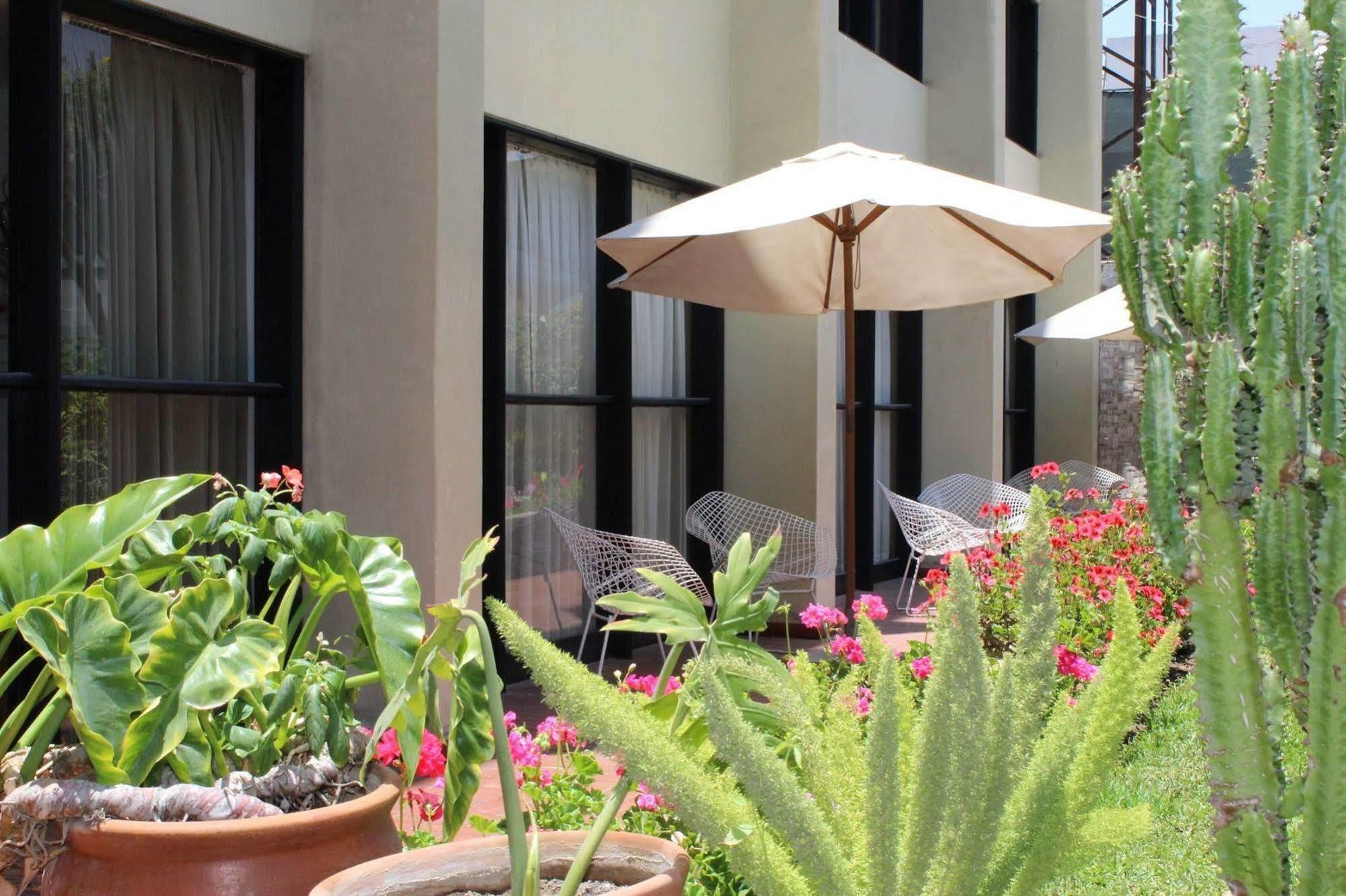 Holiday Suites Tacna Zewnętrze zdjęcie
